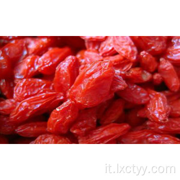 bacca di goji liofilizzata